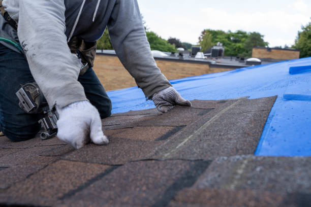 Best Roof Restoration Services  in Chamberlayne, VA